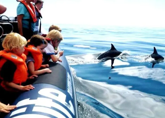 Apartment Stylish Beachfront Escape . Steps To . Wifi *