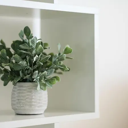 Stylish Beachfront Escape . Steps To . Wifi