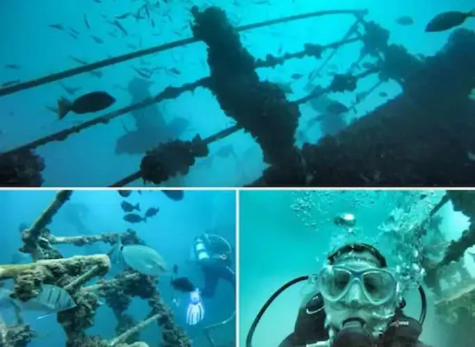 Lägenhet Stylish Beachfront Escape . Steps To . Wifi *